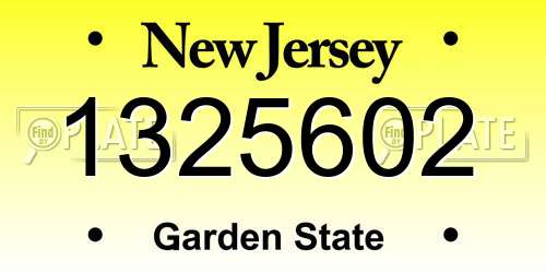 1325602 New Jersey License Plate