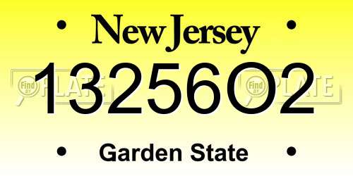 13256O2 New Jersey License Plate