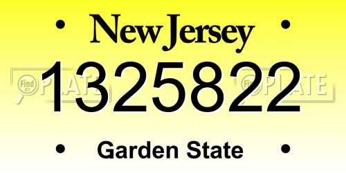 1325822 New Jersey License Plate