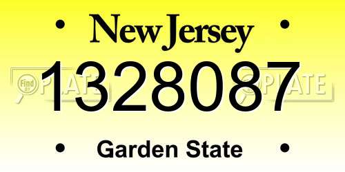 1328087 New Jersey License Plate