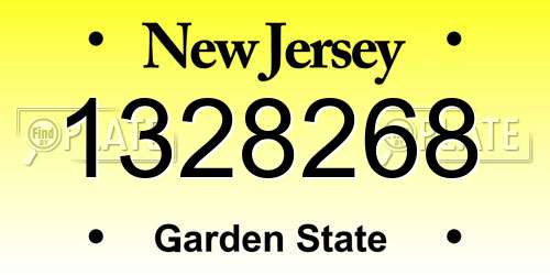 1328268 New Jersey License Plate