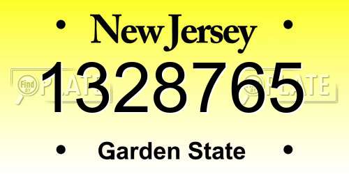 1328765 New Jersey License Plate