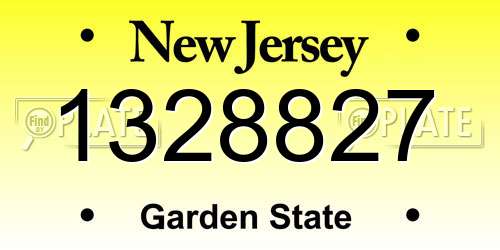 1328827 New Jersey License Plate
