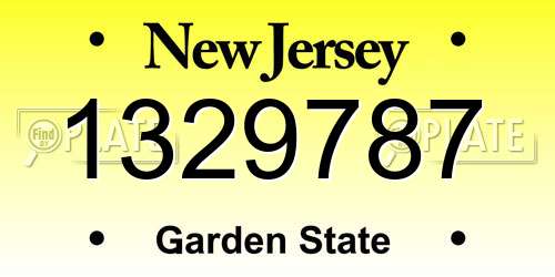1329787 New Jersey License Plate