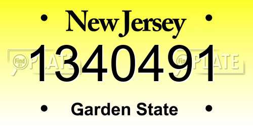 1340491 New Jersey License Plate