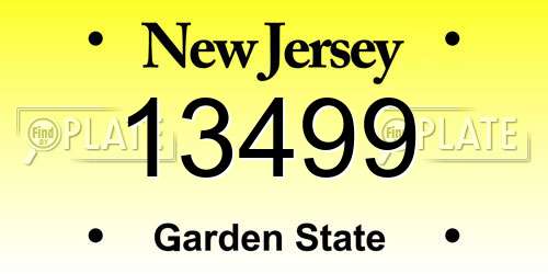 13499 New Jersey License Plate