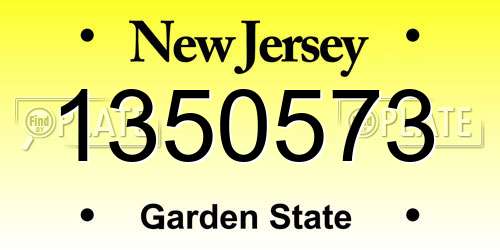 1350573 New Jersey License Plate