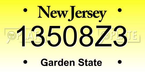 13508Z3 New Jersey License Plate