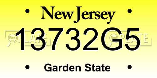 13732G5 New Jersey License Plate