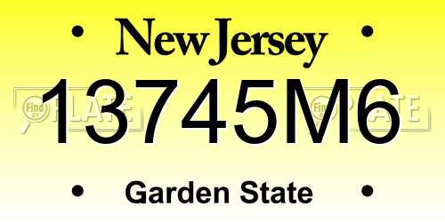 13745M6 New Jersey License Plate