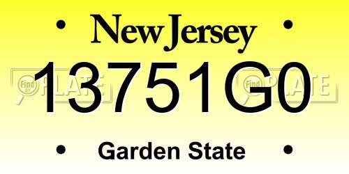 13751G0 New Jersey License Plate