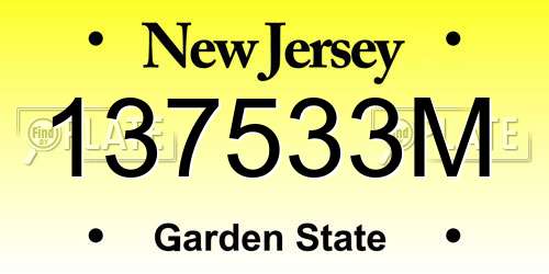 137533M New Jersey License Plate