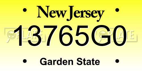 13765G0 New Jersey License Plate