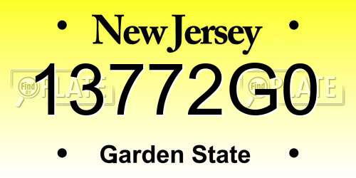 13772G0 New Jersey License Plate