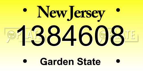 1384608 New Jersey License Plate