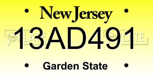 13AD491 New Jersey License Plate