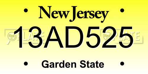 13AD525 New Jersey License Plate