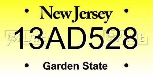 13AD528 New Jersey License Plate