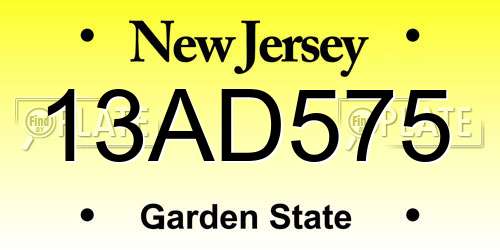 13AD575 New Jersey License Plate