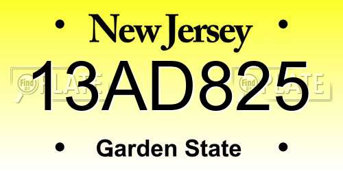13AD825 New Jersey License Plate