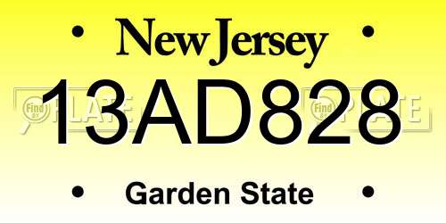 13AD828 New Jersey License Plate