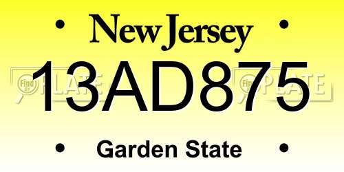13AD875 New Jersey License Plate