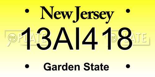 13AI418 New Jersey License Plate