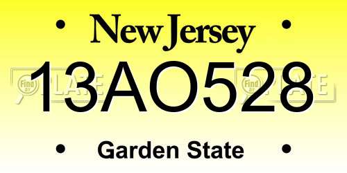 13AO528 New Jersey License Plate