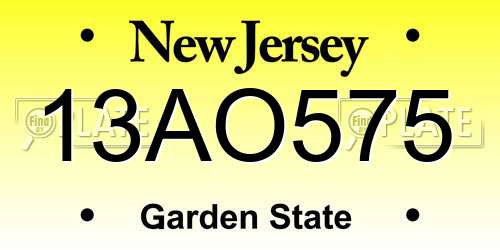 13AO575 New Jersey License Plate