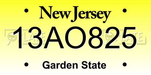 13AO825 New Jersey License Plate