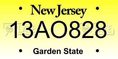 13AO828 New Jersey License Plate