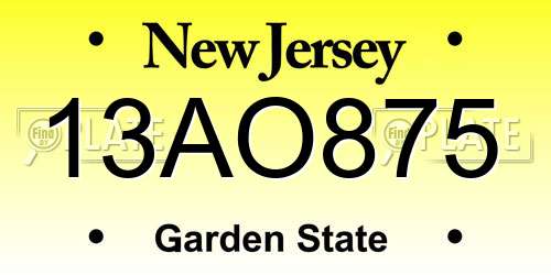 13AO875 New Jersey License Plate