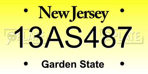 13AS487 New Jersey License Plate
