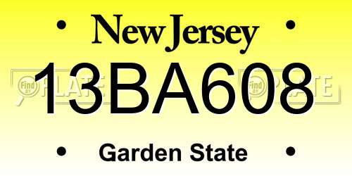 13BA608 New Jersey License Plate