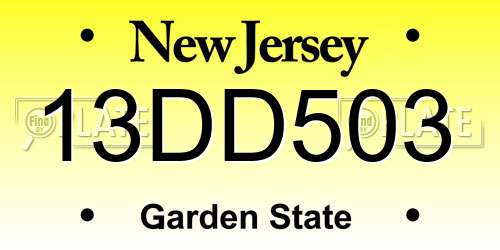 13DD503 New Jersey License Plate