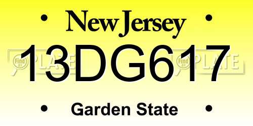 13DG617 New Jersey License Plate