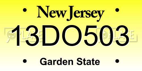13DO503 New Jersey License Plate