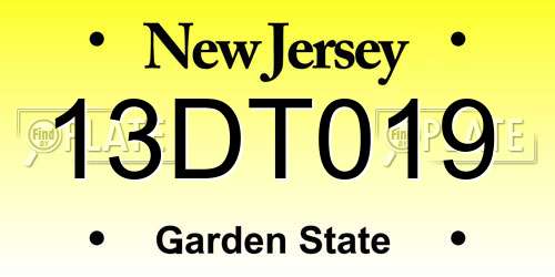 13DT019 New Jersey License Plate
