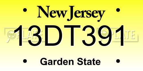 13DT391 New Jersey License Plate