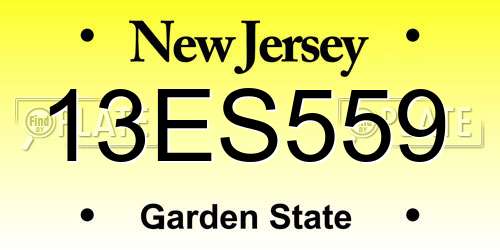 13ES559 New Jersey License Plate