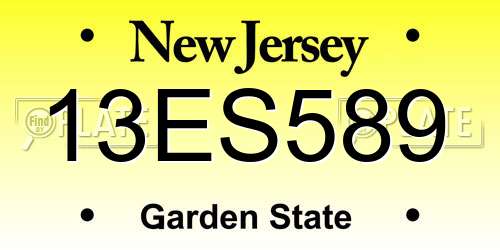 13ES589 New Jersey License Plate