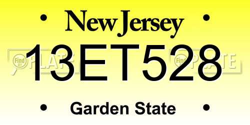 13ET528 New Jersey License Plate