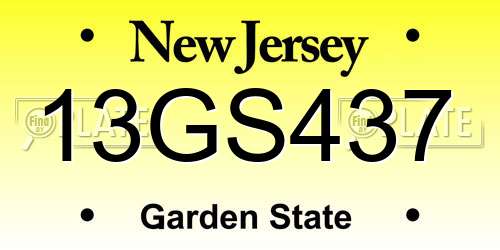 13GS437 New Jersey License Plate