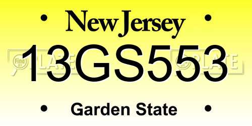 13GS553 New Jersey License Plate