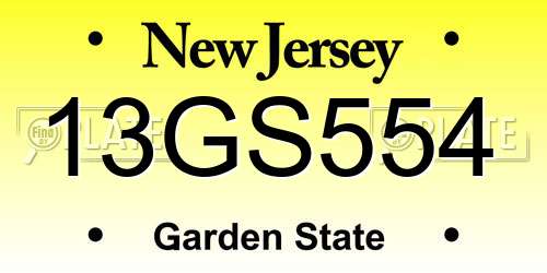 13GS554 New Jersey License Plate