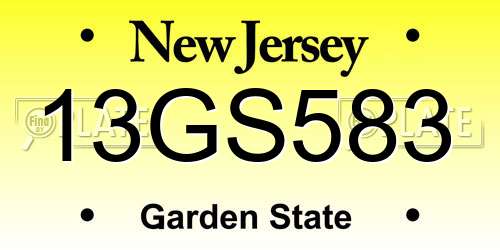 13GS583 New Jersey License Plate
