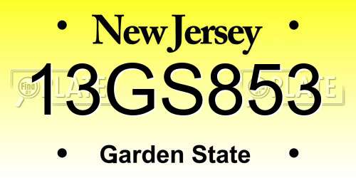 13GS853 New Jersey License Plate