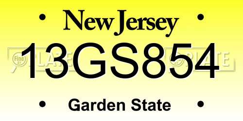 13GS854 New Jersey License Plate