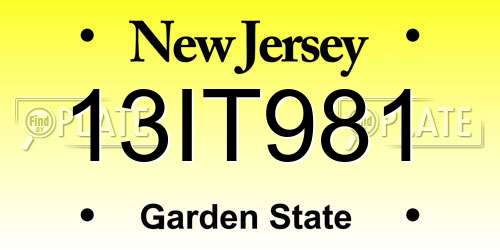 13IT981 New Jersey License Plate