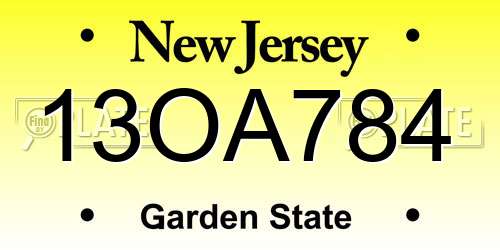 13OA784 New Jersey License Plate